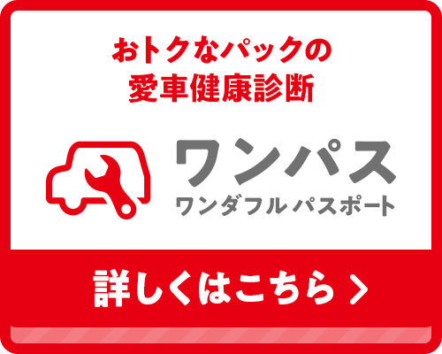 ワンパス